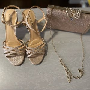 Evening/Cocktail/Wedding Shoes and Bag